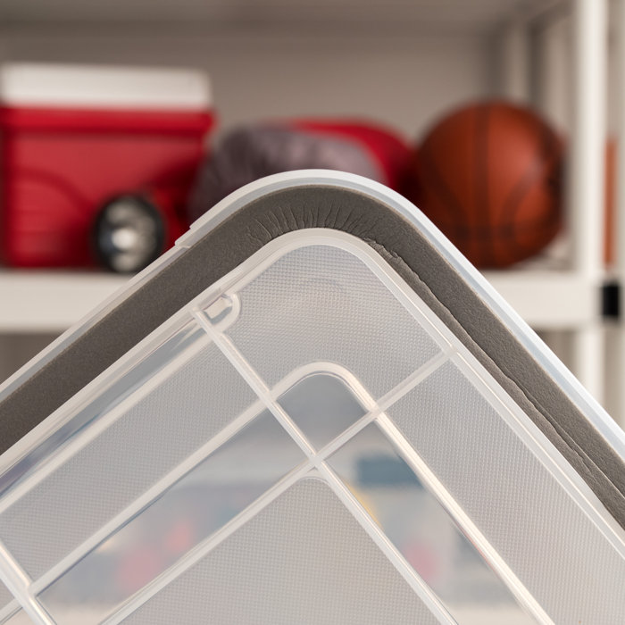 IRIS Storage Containers & Reviews Wayfair